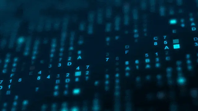 Play to Test collection